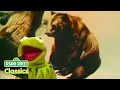 Bear Exercise With Kermit The Frog Sesame Street Classics