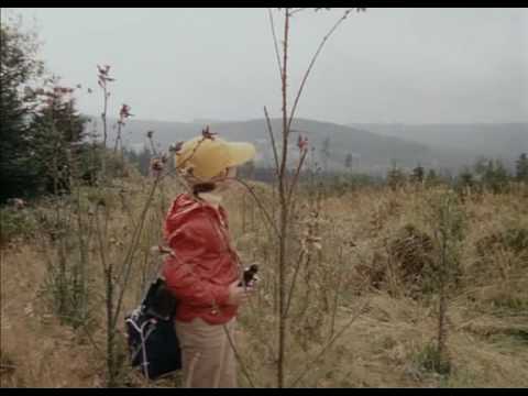 Na pytlácké stezce - arriving to grandpa - music by Luboš Sluka