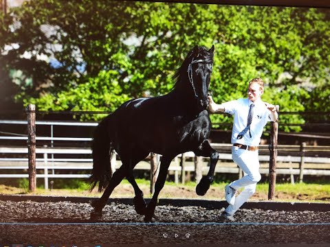 KFPS Wilma's vlog X – Op bezoek bij trainingsstal FE Horses