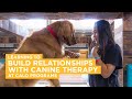 Canine Therapy at Calo