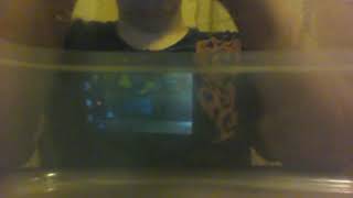 What's in the box challenge with rount What's in the box challenge with rount