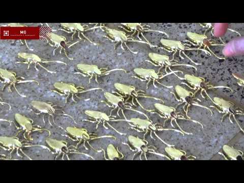 Kissmiklos: Goldenroach Unlimited - Interjú a szemfüles megtalálókkal