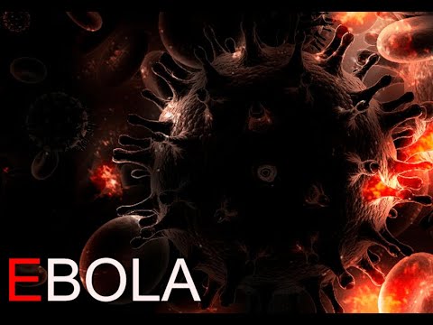EBOLA: Прохождение с комментариями на русском. (Стрим) Финал. Часть 3