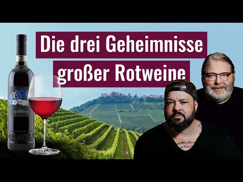 Rotweinherstellung in Italien (Piemont): Nebbiolo & Barbera | WINE GUYS zu Gast bei La Meridiana