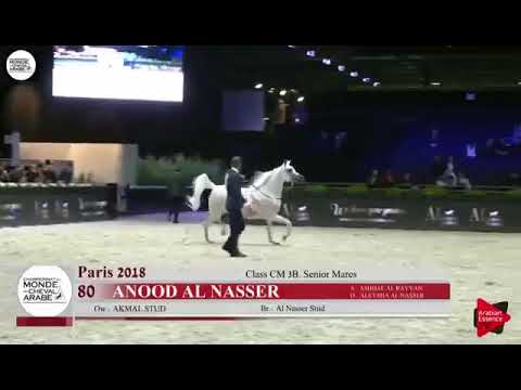 العنود الناصر #مربط_أكمل