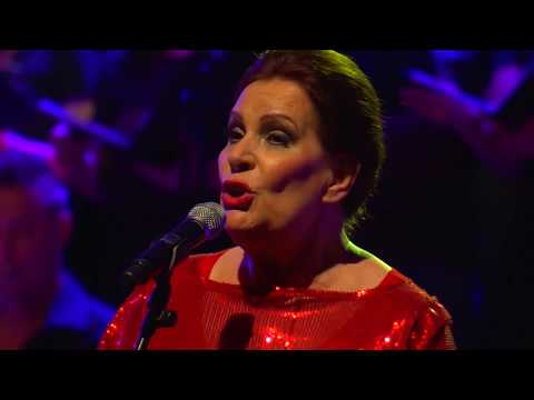 The Beatles Revival Orchestra feat. Radojka Šverko – Something