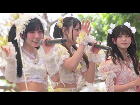 動画のタイトルなど