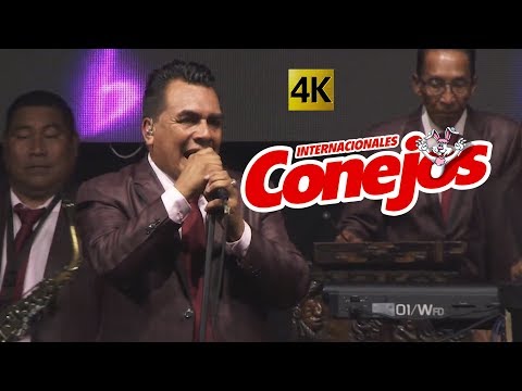 El Norti Rollo # 1 4K - Internacionales Conejos