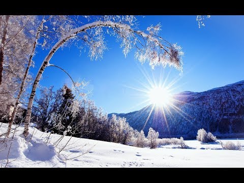 Vasile Palfi - Raza cerului senin