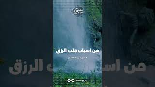 من أسباب جلب الرزق | الشيخ أ.د يوسف الشبل  #القرآن #قرآن #فوائد #فتاوى #تفسير #العلم #العلماء #تدبر image