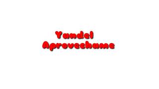 Yandel - Aprovéchame (Letra)  #Update