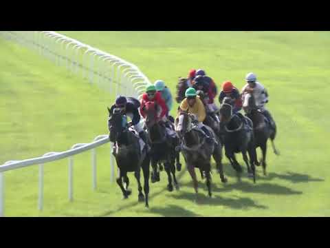 2022.06.12. 07. futam - SILVER FROST HENDIKEP (III.o.) II. rész