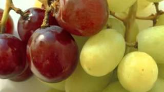 preview picture of video 'FRUIT MODENA GROUP SOC. COOP. AGRICOLA CAMPOGALLIANO (MODENA)'