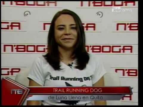 Trail Running Dog de Luna Llena en Quito