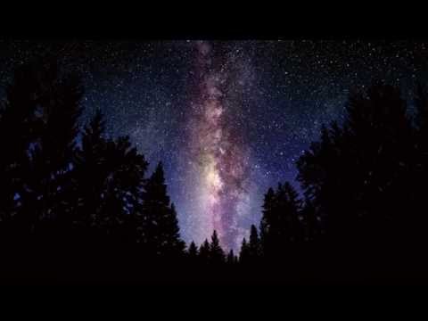 Fulgurum - Martwy Las