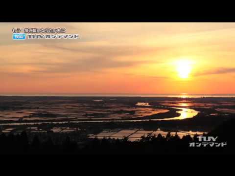 cenário de campo de arroz