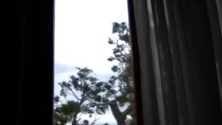 Danilo Dolci - Mentre svagati fatichiamo a inventarci... - Voce di Sergio Carlacchiani