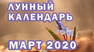 Фазы луны февраль 2020 по дням для рыболова благоприятные дни