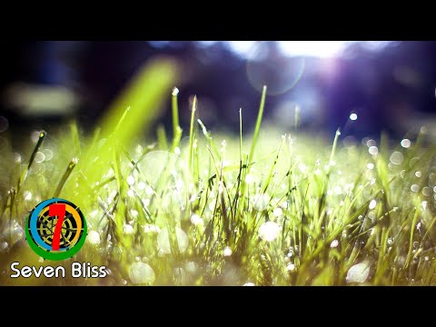 Answer42 - Dew Point (Original Mix)