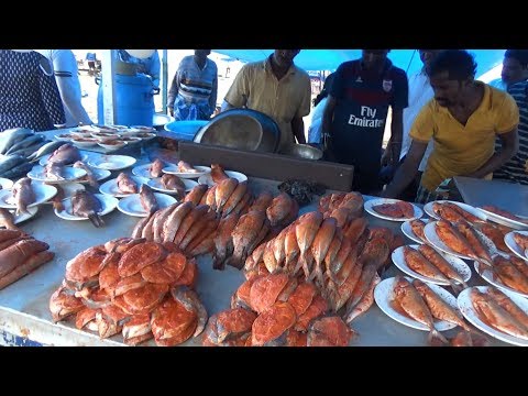 Chennai Marina Beach Fish Fry  - Street Food Loves You