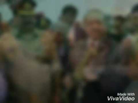 Asad Usmani PML.N sindh