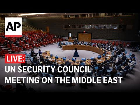 LIVE: UN Security Council meeting on the Middle East