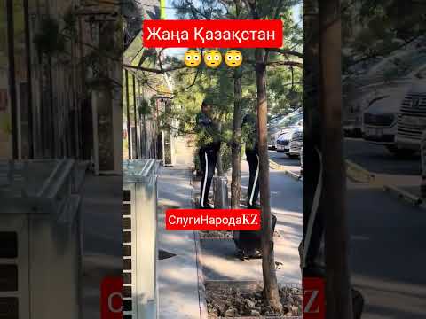 мы не в пределах 🤦