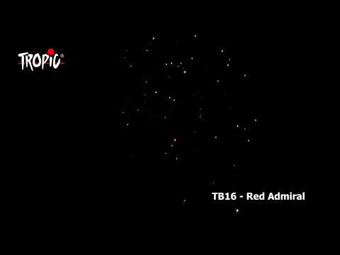 Tropic Red Admiral TB16