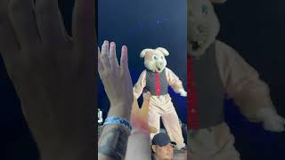 PUNK BUNNY-blitzkrieg bop green day saviours tour Sydney