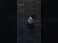 Teaser