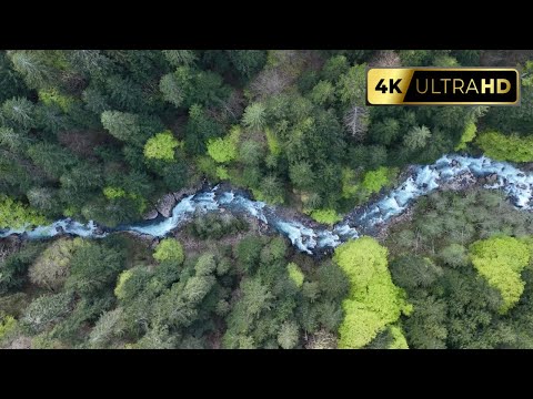 Driving from Passo del Cason di Lanza to Paularo | Italy | Slow TV | Scenic drives | No sound | 4K