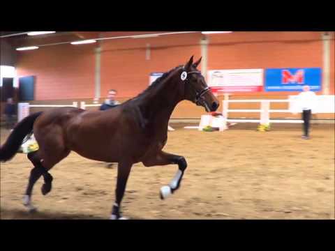 Lyndon v. Numero Uno