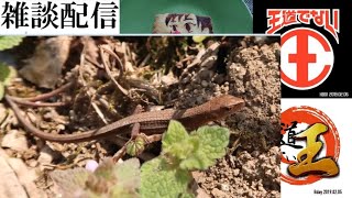 雑談配信_20190715