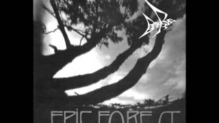 Rare Bird - Epic Forest