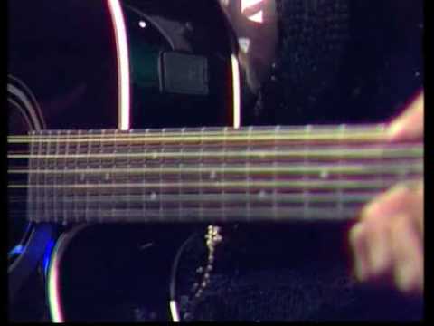 Andy McCoy-Wild Horses