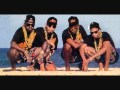 2 Live Crew - The Roof is on Fire