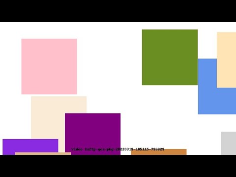 Video #sftp-gcs-pkg-20220319-105115-799829