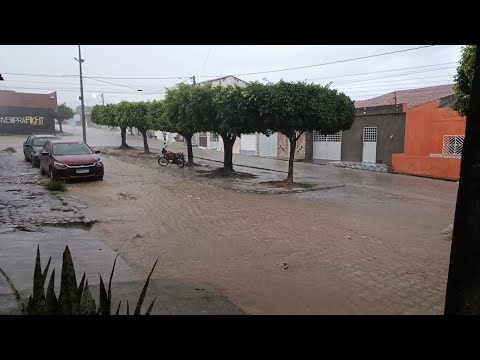 ITAIBA PE, CHUVA FORTE SERTANEJO FICA COM A EXPECTATIVA  ,Aumento PRODUÇÃO DE LEITE