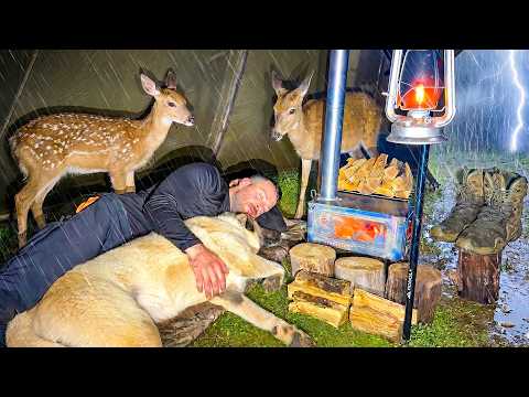 Hot Tent Camping in Heavy Rain and Rainstorm All Day! - Caught in Rain With My Dog | SOLO CAMPING