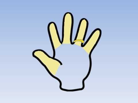 Prsti na ruci prezentacija, prvi prst je palac pravi radoznalac