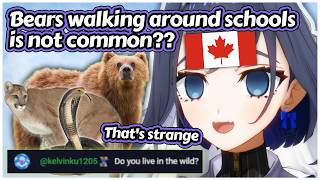 Canadian Kronii Forgets Not Everyone Has Bears in Their Backyard [Hololive EN]
