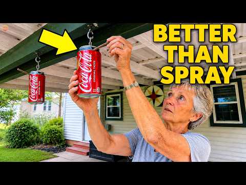 11 WASP Tricks That Pest Control Companies DON'T Want You to Know