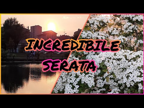 Incredibile serata 🌸 Belissimo tramonto ☀️ Fioritura di Ciliegio 🌿 Красивый закат. Цветёт черёмуха