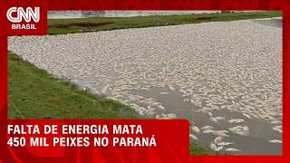Vídeo: Falta de energia mata 450 mil peixes no Paraná; Copel cita temporais | CNN AGRO NEWS