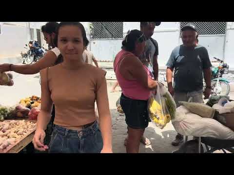FEIRA LIVRE PESQUEIRA PERNAMBUCO 