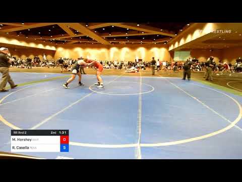 220 Lbs Prelims - Michael Hershey, South Central PA Wrestling Club Vs Ryan Casella, Pennsylvania 1