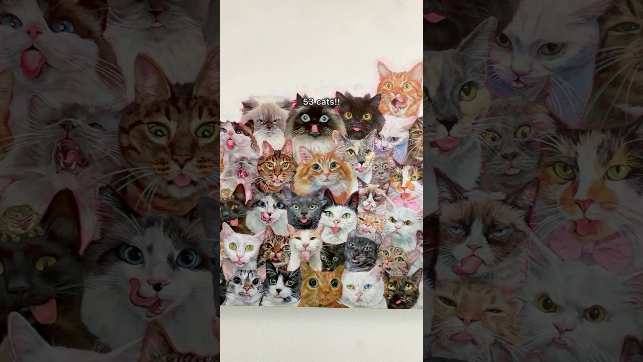 53 solid ahh cats #cat #art #painting #stonecoldsteveaustin #funny #memes @steveaustin299