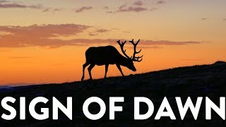 DEER BOY - Sign Of Dawn