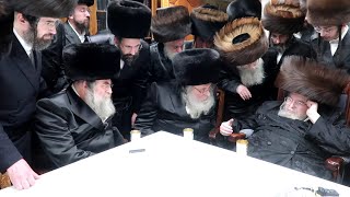 ביקור ר"י מגור שליט"א אצל האדמו"ר מבעלזא שליט"א - פסח - תשפ"ד | R' Shaul Alter Visits Belzer Rebbe