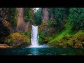 Peaceful Relaxing Instrumental Music, Calming Meditation Music "The Scent of Rain" by Tim Janis